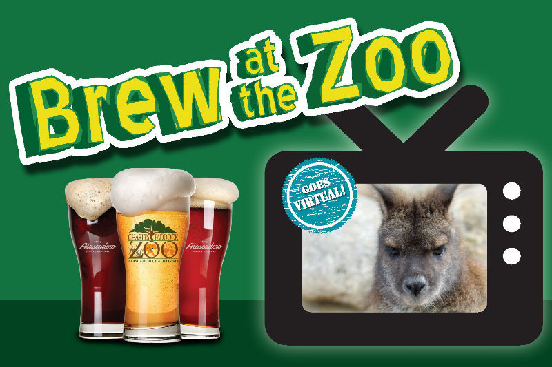 Brew at the Zoo GOES VIRTUAL Charles Paddock Zoo Your Central Coast Zoo