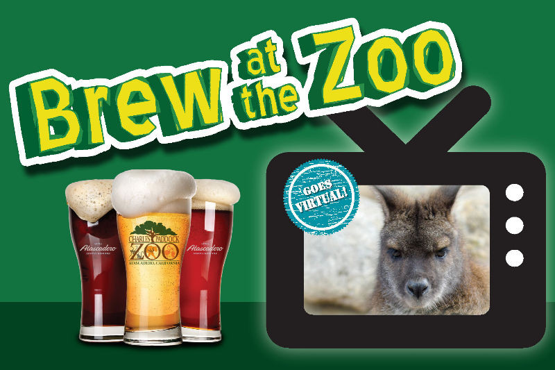 Brew At The Zoo Baltimore 2024 Tybi Alberta