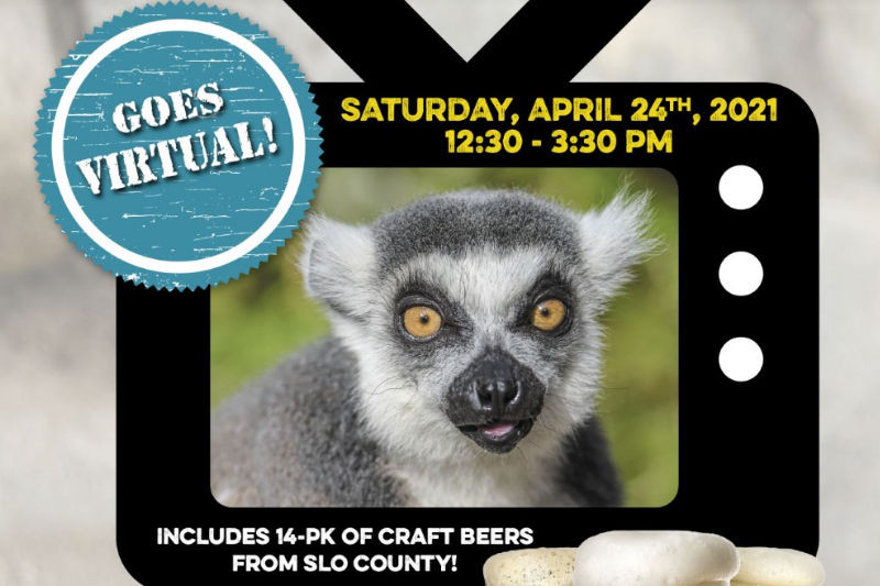 7th Annual Brew at the Zoo Virtual x2 Charles Paddock Zoo Your