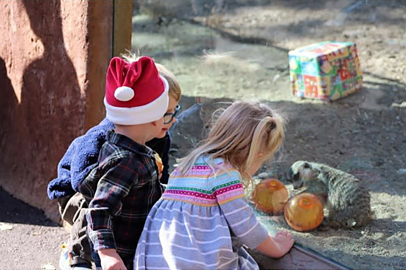 Animals of West Africa, Charles Paddock Zoo