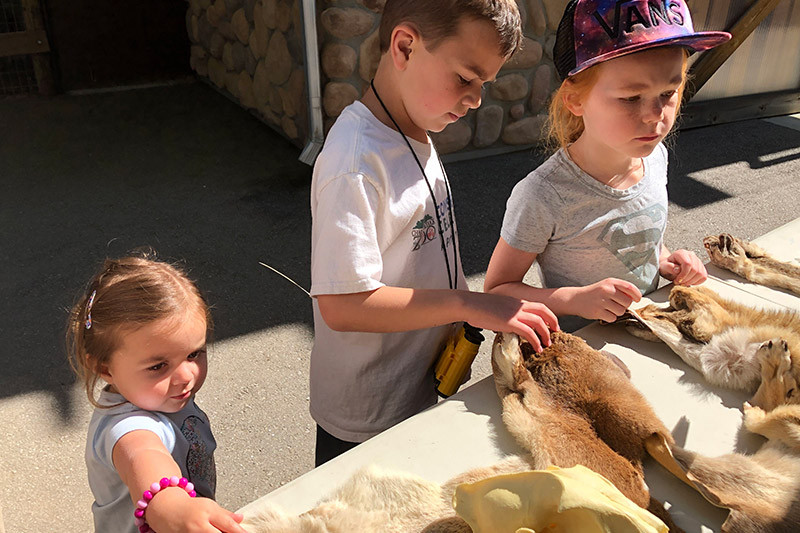 Animals of West Africa, Charles Paddock Zoo